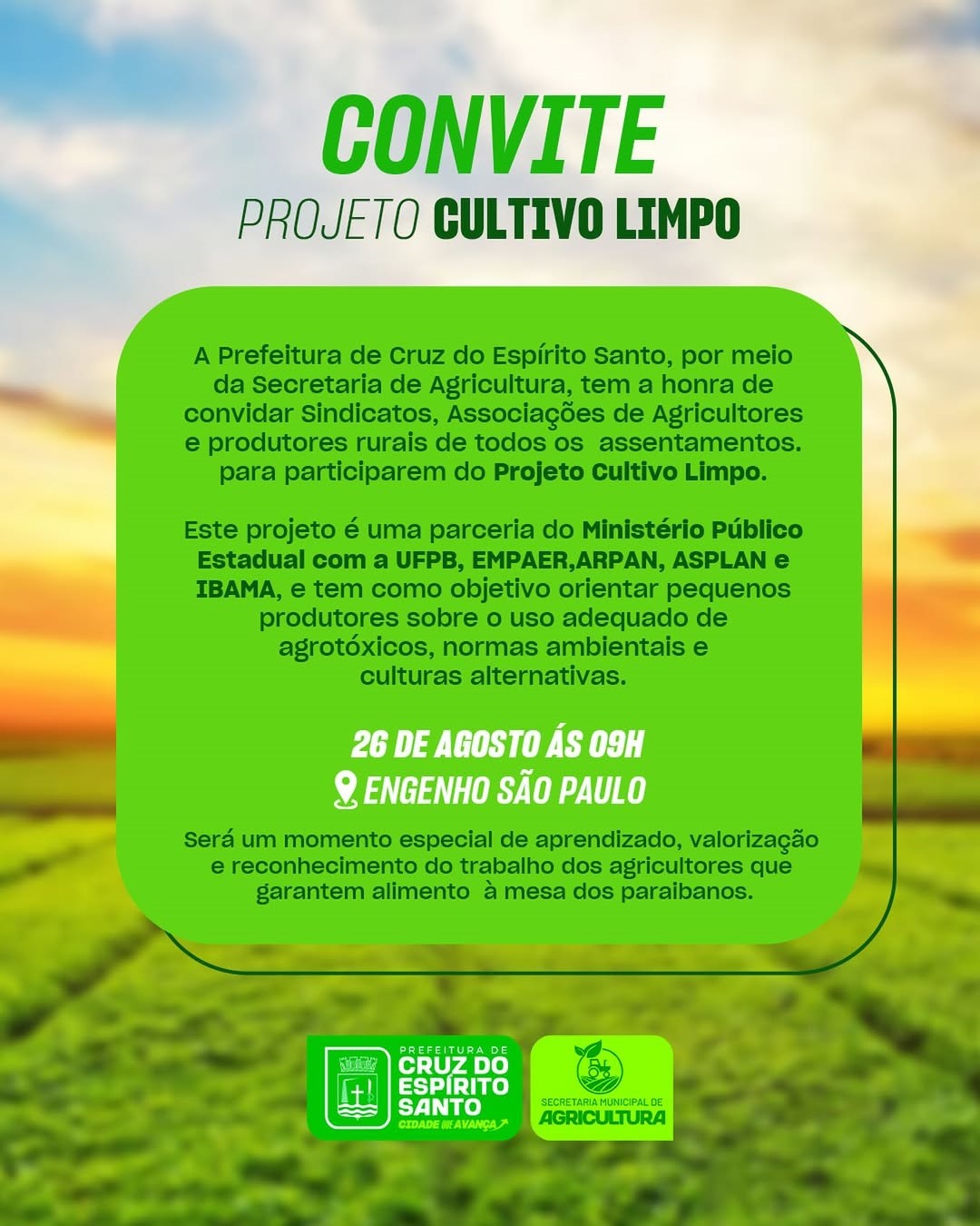 snapins-ai_3707129100935147801